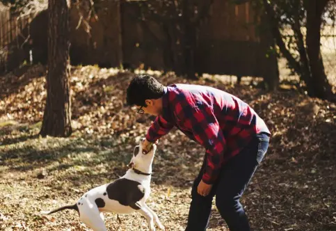 Best Activities to Keep Your Pet Healthy in Regina