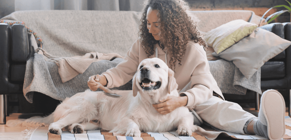 Easy Ways to Communicate Better with Your Dog in Regina