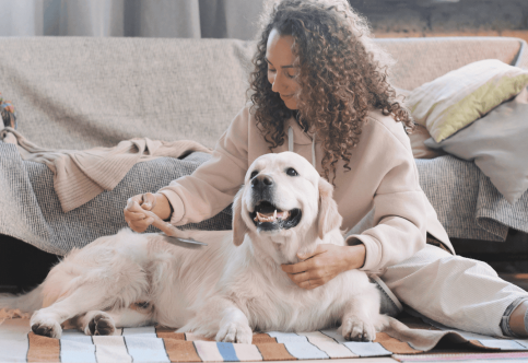 Easy Ways to Communicate Better with Your Dog in Regina