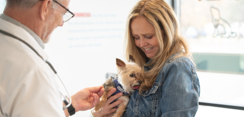 When to Visit a Cat Hospital in Regina: A Pet Owner's Guide to Feline Health