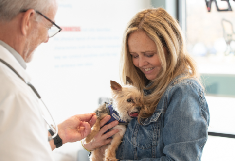 When to Visit a Cat Hospital in Regina: A Pet Owner's Guide to Feline Health