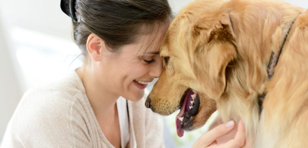 The Ultimate Pet-Care Guide for First-Time Owners