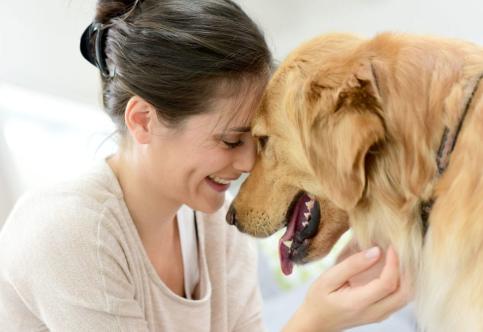 The Ultimate Pet-Care Guide for First-Time Owners