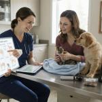 Why Is Timing Important in Pet Spaying and Neutering?