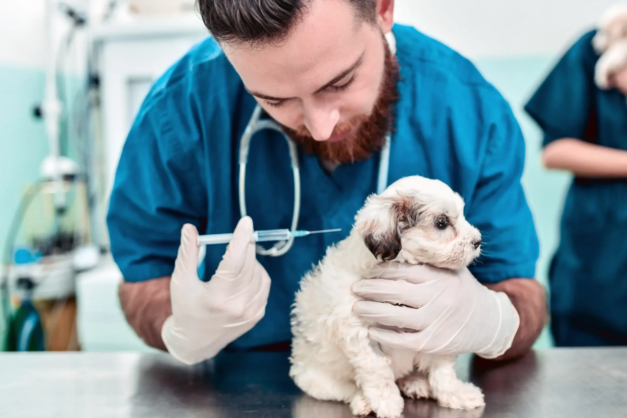 Pet Vaccination Services